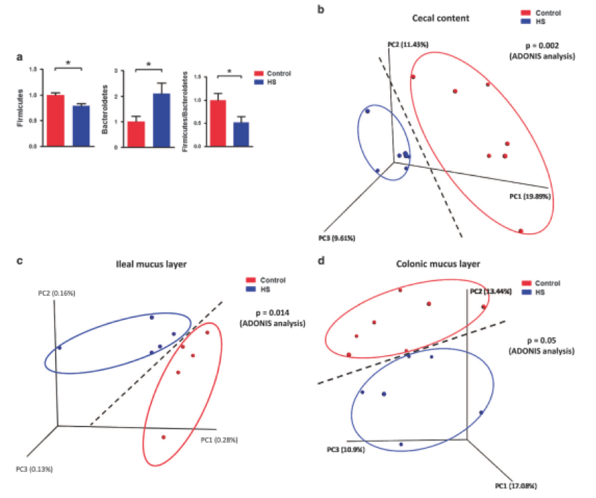 圖2 亞洲棉（AA型）與陸地棉（AADD型）共線性分析