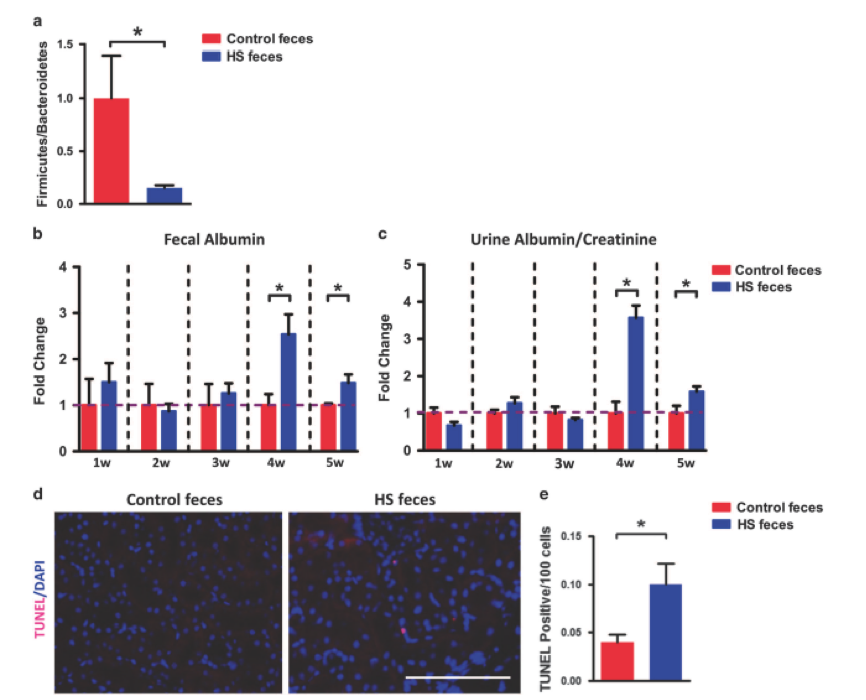 圖7 a. 亞洲棉SC，YZR和YER的選擇性清除分析；b. 全基因組關(guān)聯(lián)分析