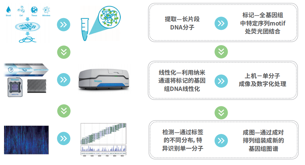 wechatimg97 wechatimg97