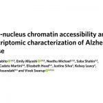 單細(xì)胞多組學(xué)揭示阿爾茨海默癥的單核染色質(zhì)可及性和轉(zhuǎn)錄組特征