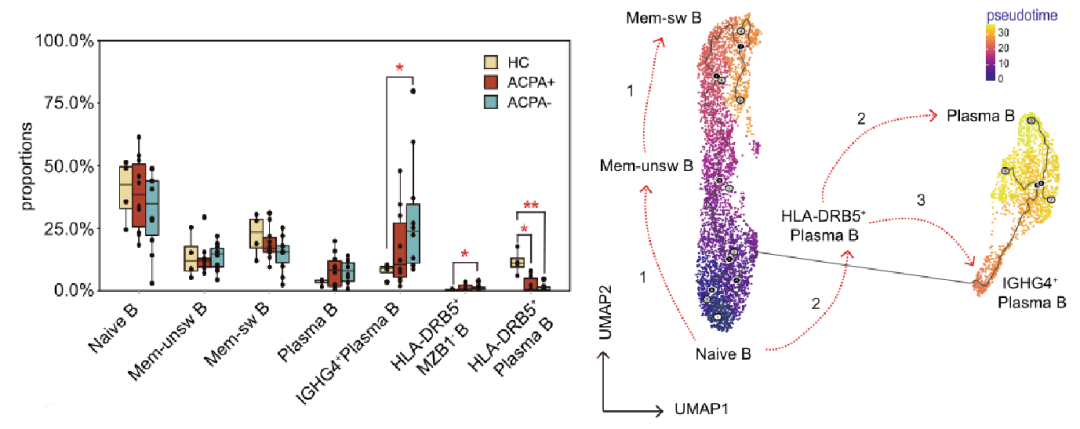圖1?利用Monocle推斷類風(fēng)濕性關(guān)節(jié)炎PBMCs B細胞的分化軌跡[3]