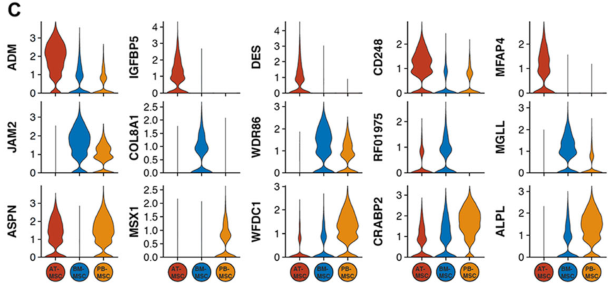 圖2單細胞RNA測序（sc?RNAseq）數(shù)據(jù)揭示了馬間充質基質細胞（MSCs）的源間變異