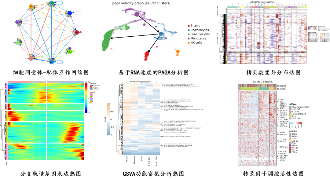圖9 ?百邁客部分分析實例展示