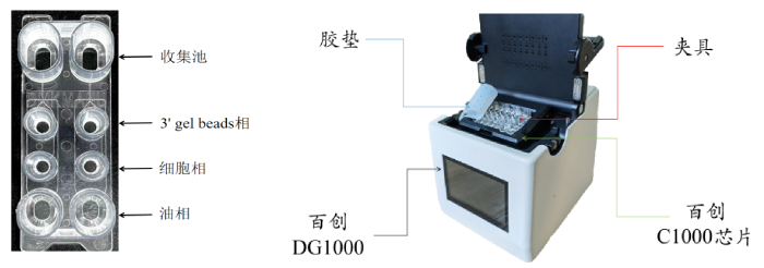 圖1：百創(chuàng)C1000芯片結構（左圖）；百創(chuàng)DG1000微液滴生成儀（右圖）
