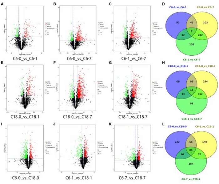 差異累積代謝物的火山圖，以及對照與其時間點的比較
