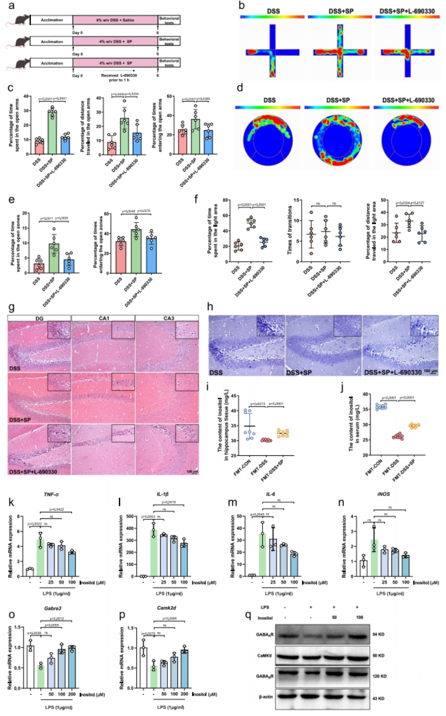 圖9 肌醇在SP對DSS誘導小鼠焦慮樣行為的作用中發(fā)揮關鍵作用